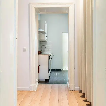 Homaris - Kollwitzkiez Apartment